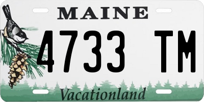 ME license plate 4733TM