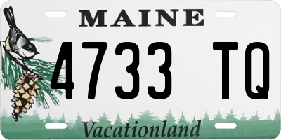 ME license plate 4733TQ