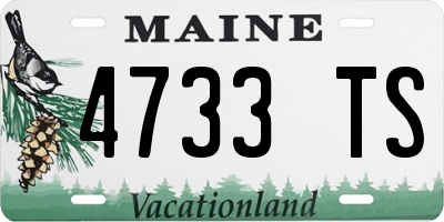 ME license plate 4733TS