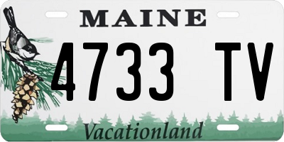 ME license plate 4733TV