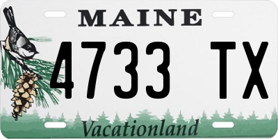 ME license plate 4733TX