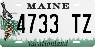 ME license plate 4733TZ