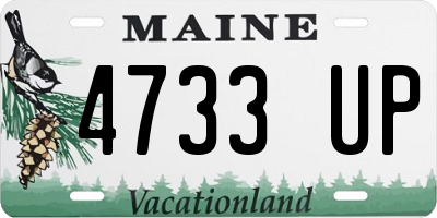 ME license plate 4733UP