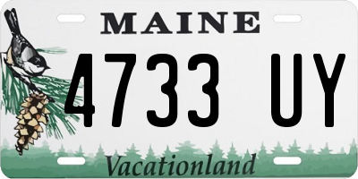 ME license plate 4733UY