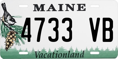 ME license plate 4733VB