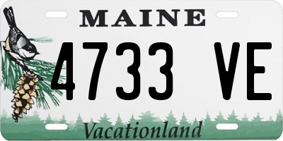 ME license plate 4733VE