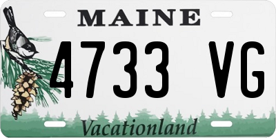 ME license plate 4733VG