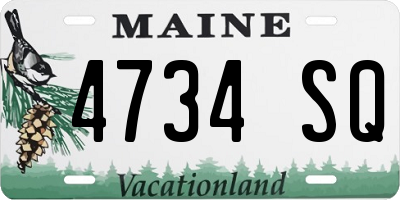 ME license plate 4734SQ