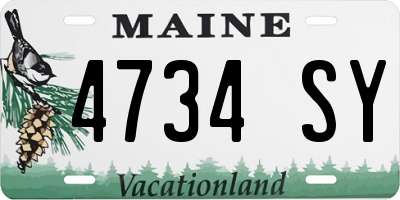 ME license plate 4734SY
