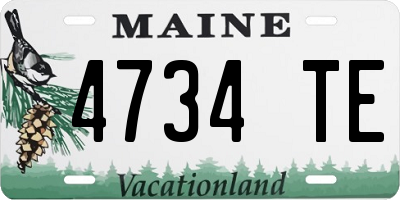 ME license plate 4734TE