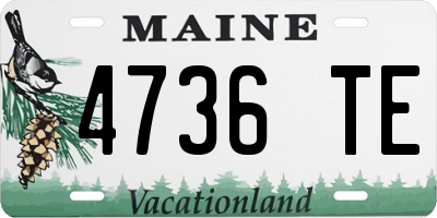 ME license plate 4736TE