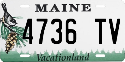 ME license plate 4736TV