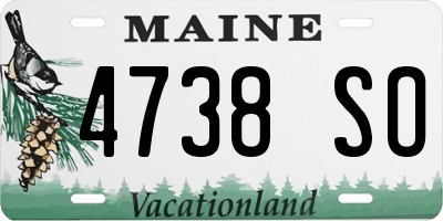 ME license plate 4738SO