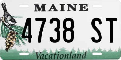 ME license plate 4738ST