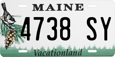ME license plate 4738SY