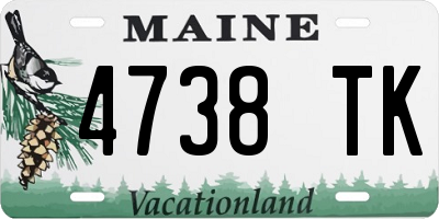 ME license plate 4738TK