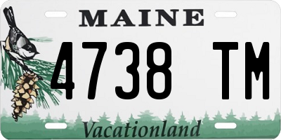 ME license plate 4738TM