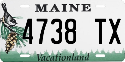 ME license plate 4738TX