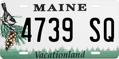 ME license plate 4739SQ