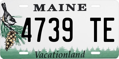 ME license plate 4739TE