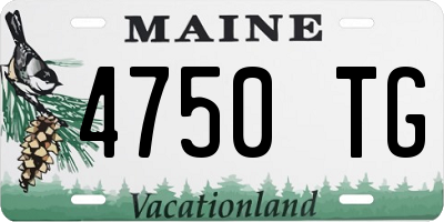 ME license plate 4750TG