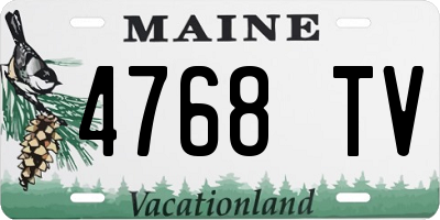 ME license plate 4768TV