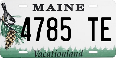 ME license plate 4785TE