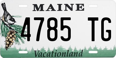 ME license plate 4785TG