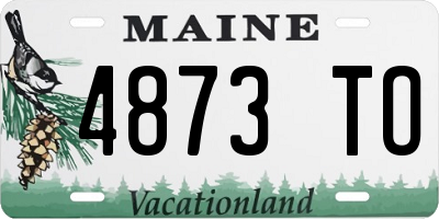 ME license plate 4873TO