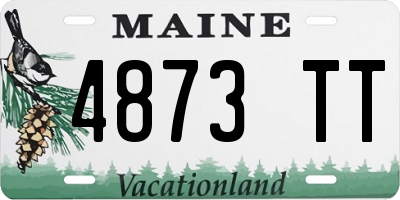 ME license plate 4873TT