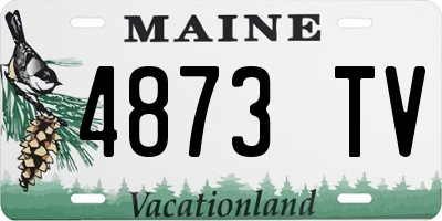 ME license plate 4873TV