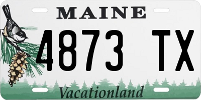 ME license plate 4873TX