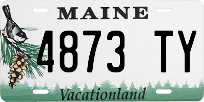ME license plate 4873TY