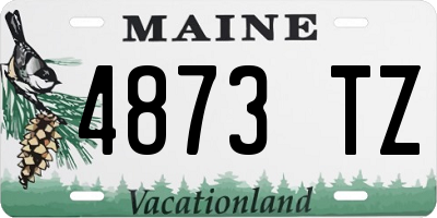 ME license plate 4873TZ