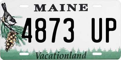 ME license plate 4873UP