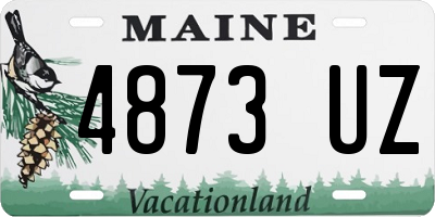 ME license plate 4873UZ