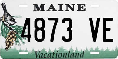 ME license plate 4873VE