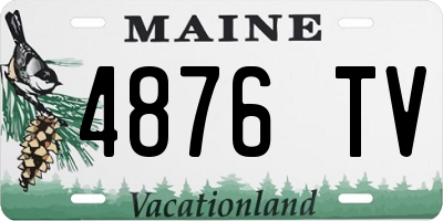 ME license plate 4876TV