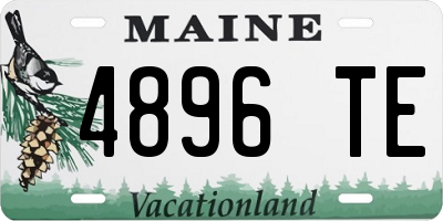 ME license plate 4896TE
