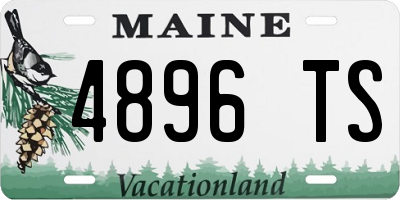 ME license plate 4896TS