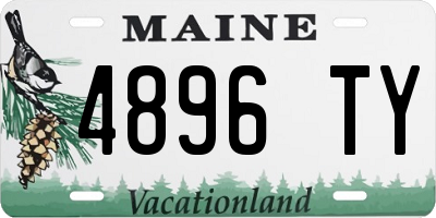ME license plate 4896TY