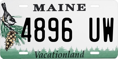 ME license plate 4896UW