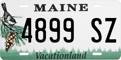 ME license plate 4899SZ