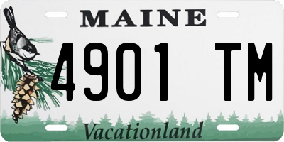 ME license plate 4901TM