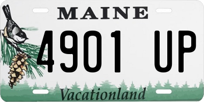 ME license plate 4901UP