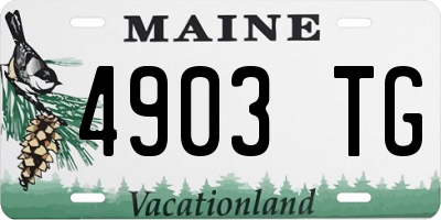 ME license plate 4903TG