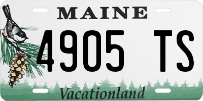 ME license plate 4905TS