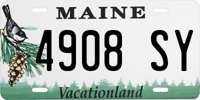 ME license plate 4908SY