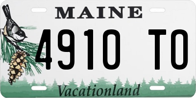 ME license plate 4910TO