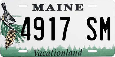 ME license plate 4917SM